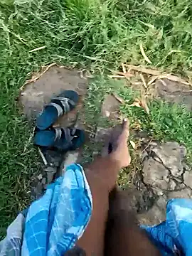 Snapshot of dolphiinn chatting on 8, 1, 2026 dolphiinn online show from 8, 1, 2026