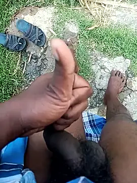 Snapshot of dolphiinn chatting on 10, 1, 2026 dolphiinn online show from 10, 1, 2026