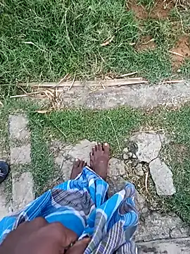 Snapshot of dolphiinn chatting on 12, 1, 2026 dolphiinn online show from 12, 1, 2026