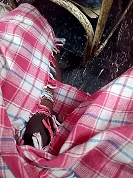 Snapshot of dolphiinn chatting on 13, 1, 2026 dolphiinn online show from 13, 1, 2026