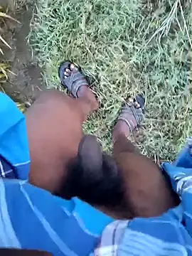 Snapshot of dolphiinn chatting on 19, 1, 2026 dolphiinn online show from 19, 1, 2026