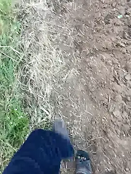 Snapshot of dolphiinn chatting on 14, 2, 2026 dolphiinn online show from 14, 2, 2026