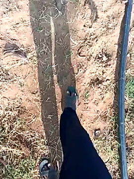 Snapshot of dolphiinn chatting on 25, 2, 2026 dolphiinn online show from 25, 2, 2026