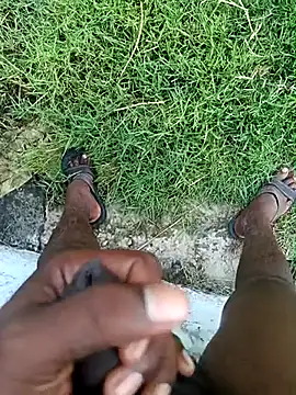 Snapshot of dolphiinn chatting on 5, 3, 2026 dolphiinn online show from 5, 3, 2026