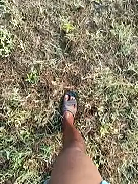 Snapshot of dolphiinn chatting on 8, 3, 2026 dolphiinn online show from 8, 3, 2026