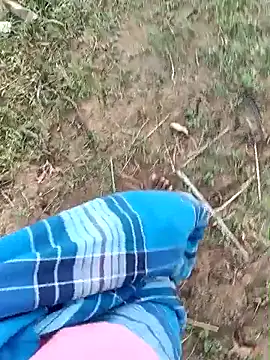 Snapshot of dolphiinn chatting on 20, 3, 2026 dolphiinn online show from 20, 3, 2026