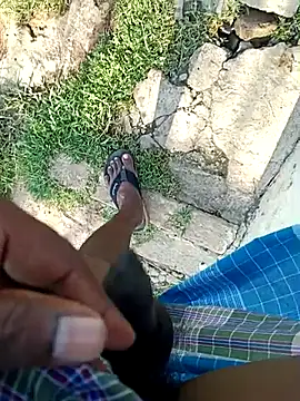 Snapshot of dolphiinn chatting on 12, 4, 2026 dolphiinn online show from 12, 4, 2026