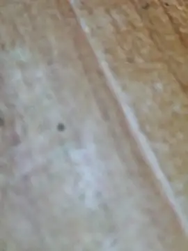 Snapshot of Markroco696 chatting on 9, 10, 2025 Markroco696 online show from 9, 10, 2025