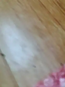 Snapshot of Markroco696 chatting on 18, 10, 2025 Markroco696 online show from 18, 10, 2025