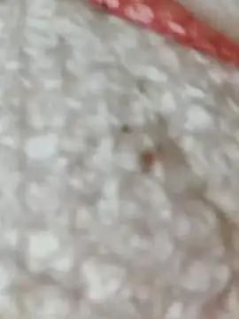 Snapshot of Markroco696 chatting on 15, 11, 2025 Markroco696 online show from 15, 11, 2025