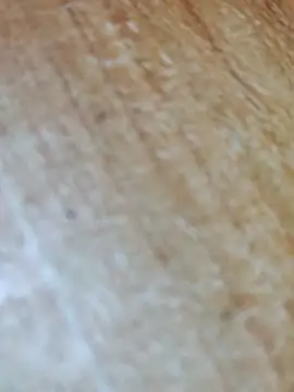 Snapshot of Markroco696 chatting on 17, 11, 2025 Markroco696 online show from 17, 11, 2025