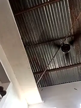 Dikchahot online show from 21, 9, 2025