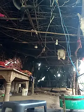 cute diya 12 online show from 17, 12, 2025