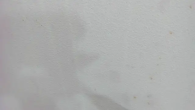 scarlett646 online show from 4, 12, 2025