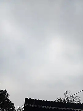 Snapshot of Ngocmi909 chatting on 11, 1, 2026 Ngocmi909 online show from 11, 1, 2026