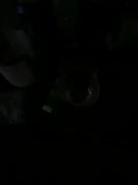 Eflctt online show from 19, 12, 2025