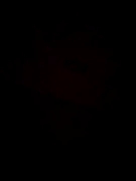 Jann Riya333 online show from 1, 2, 2026