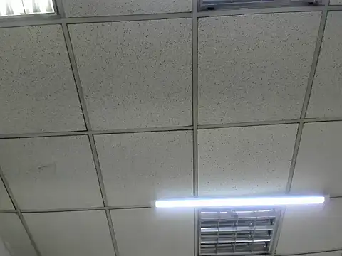 ScarletDoll online show from 24, 10, 2025