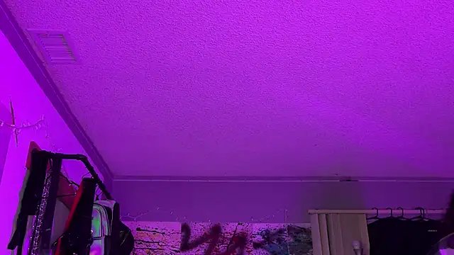 xoFrankie online show from 16, 11, 2025