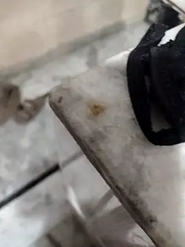 meenu bhabhi547 online show from 9, 10, 2025