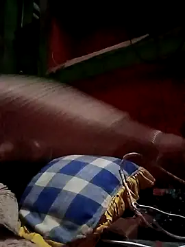 Billo rany online show from 24, 9, 2025