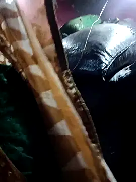 Billo rany online show from 29, 11, 2025