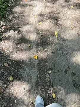 amo660 online show from 20, 9, 2025