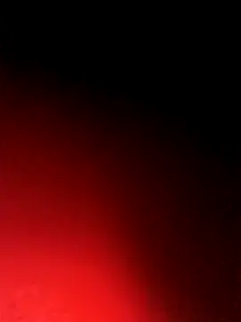 BlackCobraOwner online show from 15, 10, 2025