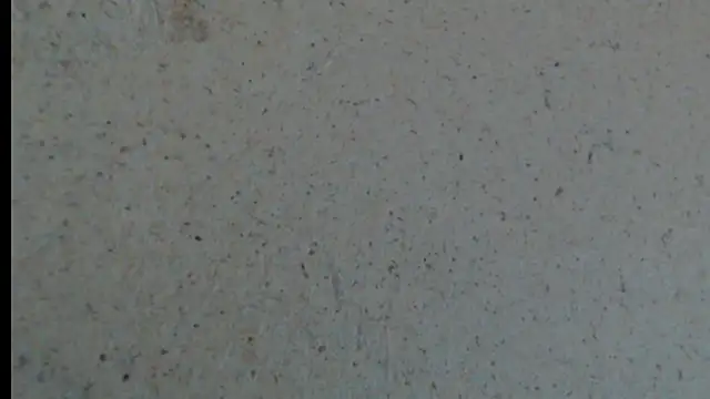 crazy daniela online show from 23, 10, 2025