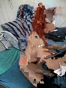  Pipi  online show from 15, 2, 2026