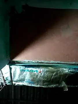 Hot-honi online show from 7, 10, 2025