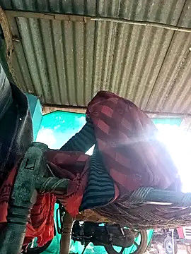 Hot-honi online show from 8, 11, 2025