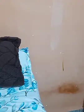 Snapshot of siya_rani67 chatting on 31, 3, 2026 siya rani67 online show from 31, 3, 2026