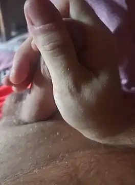 stunning stallion online show from 8, 10, 2025