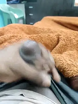 Yourminal online show from 5, 10, 2025