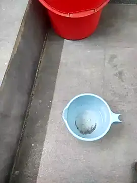 Yourminal online show from 23, 10, 2025