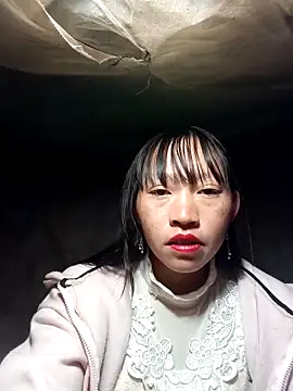 tcm-cute online show from 12, 11, 2025