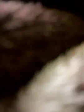 Snapshot of LOVE4GIRL chatting on 12, 4, 2026 LOVE4GIRL online show from 12, 4, 2026