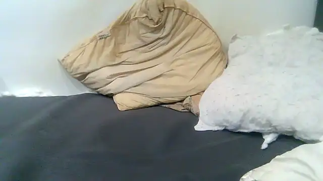 hotbbboyyy online show from 6, 2, 2026