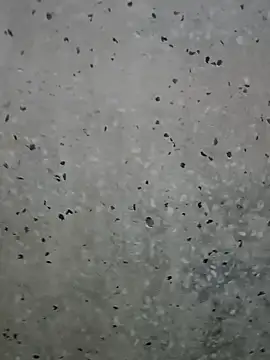 Snapshot of Mr_xxx007@xh chatting on 1, 3, 2026 Mr xxx007xh online show from 1, 3, 2026