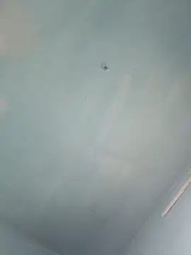 xyz-indian online show from 5, 10, 2025