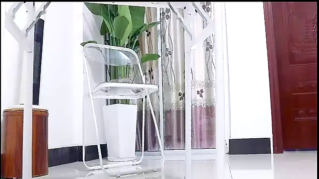 Tianxin6 online show from 17, 12, 2025