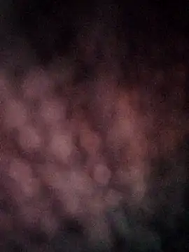 Snapshot of CUTE-003 chatting on 8, 11, 2025 CUTE-003 online show from 8, 11, 2025