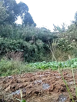 Snapshot of hera-00 chatting on 24, 11, 2025 hera-00 online show from 24, 11, 2025