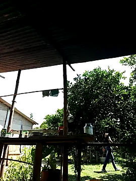 AlphaAlterX online show from 2, 10, 2025