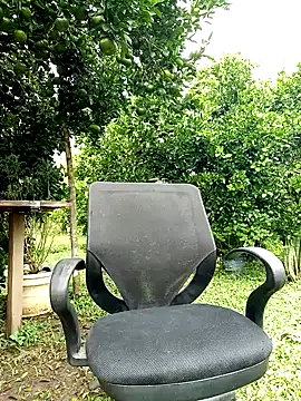 AlphaAlterX online show from 12, 10, 2025