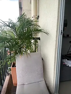 Snapshot of Sophie_Dreamss chatting on 5, 3, 2026 Sophie Dreamss online show from 5, 3, 2026