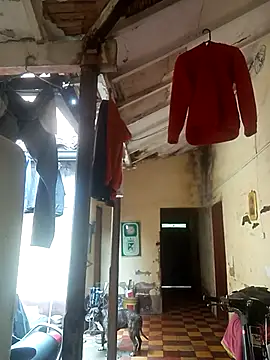 hairy mannn online show from 15, 2, 2026