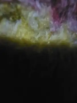 Bokihot online show from 27, 6, 2026