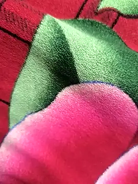 Snapshot of Family02 chatting on 26, 11, 2025 Family02 online show from 26, 11, 2025